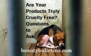 Are Your Products Truly Cruelty Free?  Questions to Ask