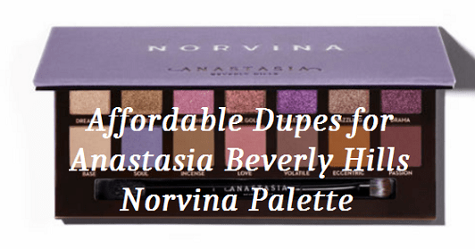 Affordable Dupes for Anastasia Beverly Hills Norvina Palette