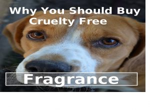 Why You Should Buy Cruelty Free Fragrance