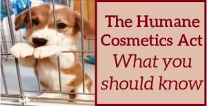 The Humane Cosmetics Act. Will the U.S. Finally Ban Animal Testing for Cosmetics?