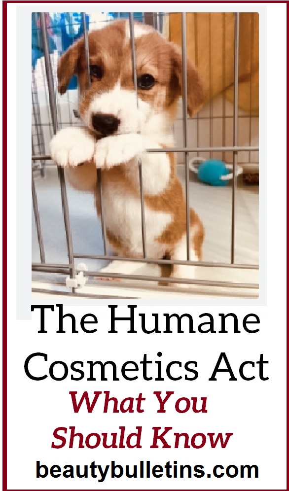 The Humane Cosmetics Act. Will the U.S. Finally Ban Animal Testing for Cosmetics? 1