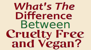 vegan vs cruelty free