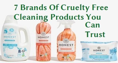 7 Brands Of Cruelty-Free Cleaning Products You Can Trust