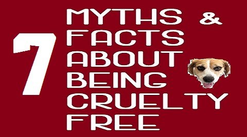 Myths & facts about being cruelty free