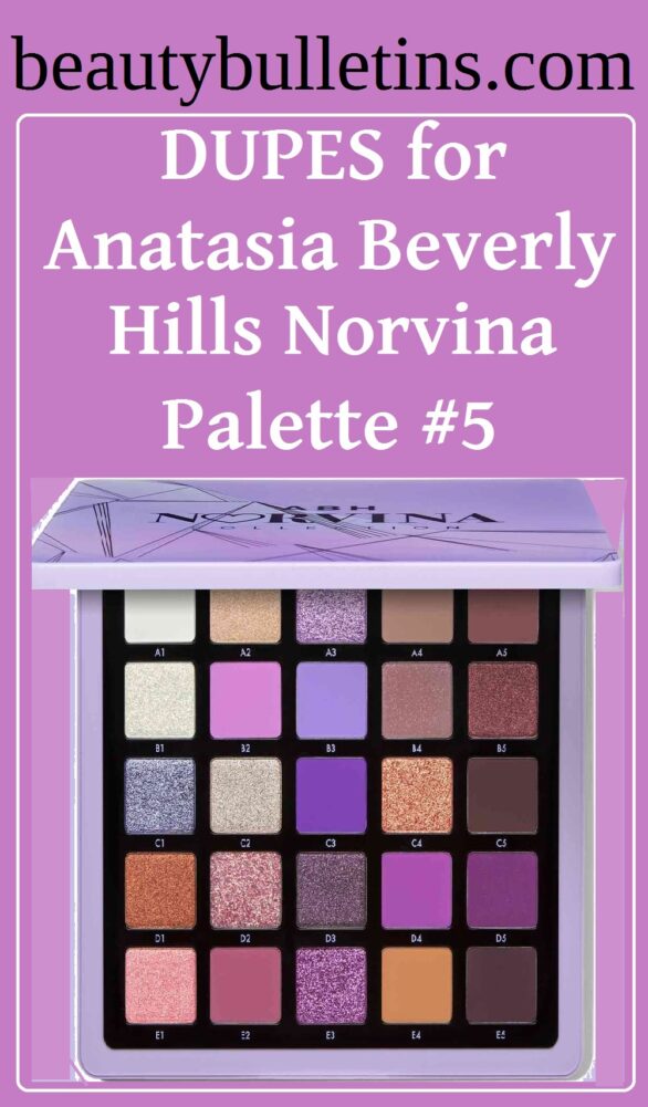 Dupes for Anastasia Norvina Pro Pigment Palette Vol. 5