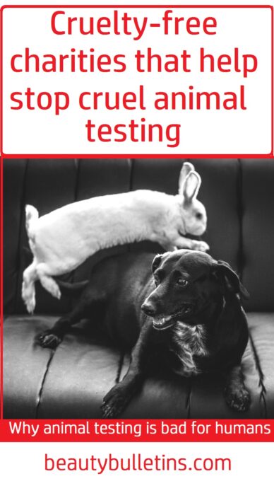 4 Cruelty free charities that help stop cruel animal testing