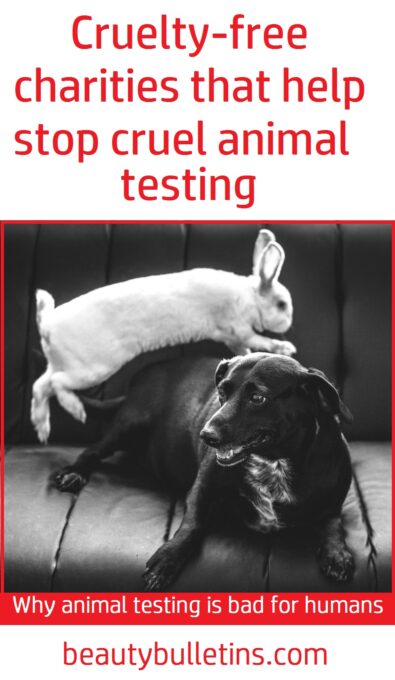 How to help defenseless animals from animal testing. Charities supported by beautybulletins.com 6