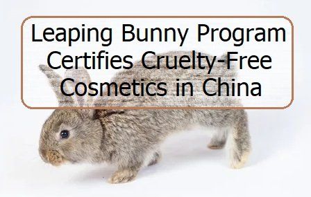 2023 leaping bunny new program